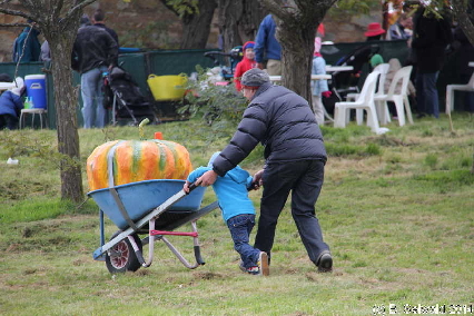 PumpkinFestival20140504 131058