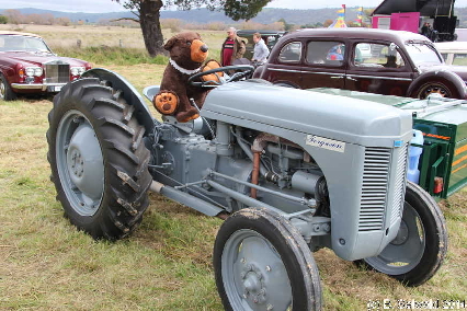 PumpkinFestival20140504 131926