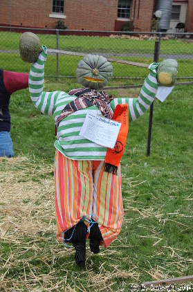 PumpkinFestival20140504 141756