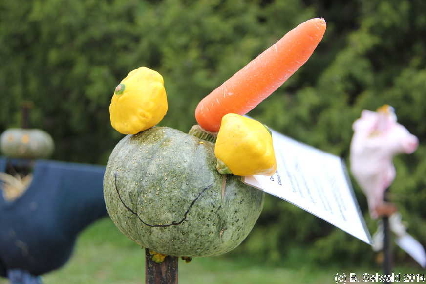 PumpkinFestival20140504 142227