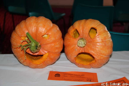 PumpkinFestival20140504 143241
