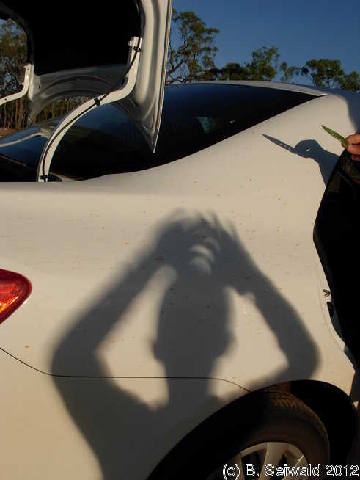 ECLIPSE20121114A 072420