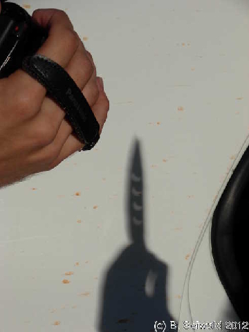 ECLIPSE20121114A 080814