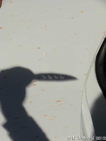 ECLIPSE20121114A 080838