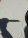 ECLIPSE20121114A-080838