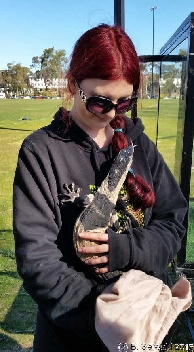 ReptileShowANU20150818 140449