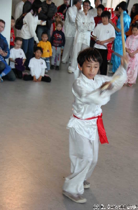 TasteOfChineseCulture20140524 121308