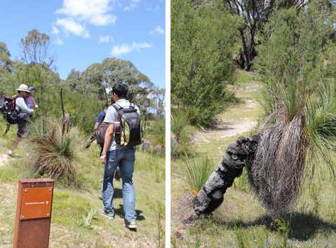 Tidbinbilla20151129 114822