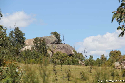 Tidbinbilla20151129 115121