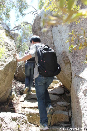 Tidbinbilla20151129 125358
