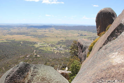 Tidbinbilla20151129 125529