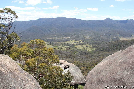 Tidbinbilla20151129 125622