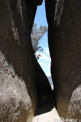 Tidbinbilla20151129 130518