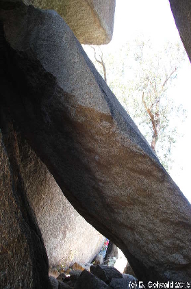 Tidbinbilla20151129 130528