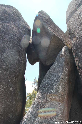 Tidbinbilla20151129 130702