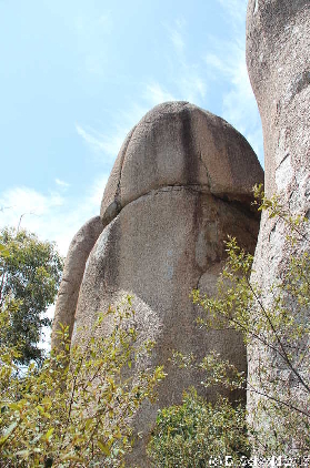 Tidbinbilla20151129 135511