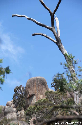 Tidbinbilla20151129 140630