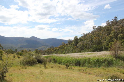 Tidbinbilla20151129 144314
