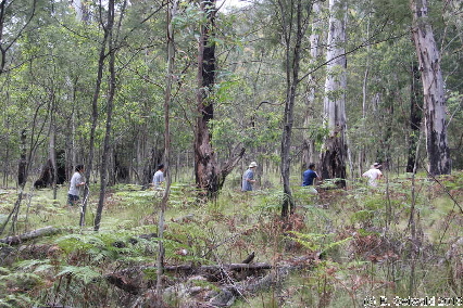 Tidbinbilla20151129 153742