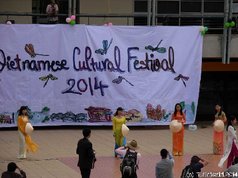 VietnameseFestival20141010 164837