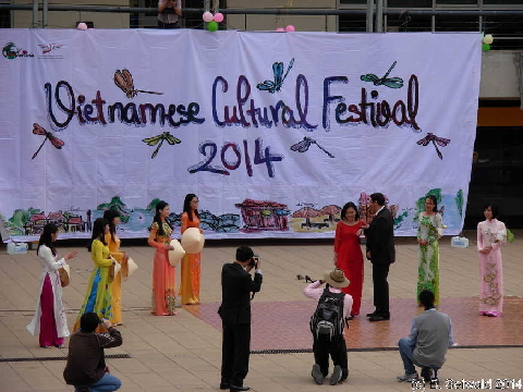VietnameseFestival20141010 165112