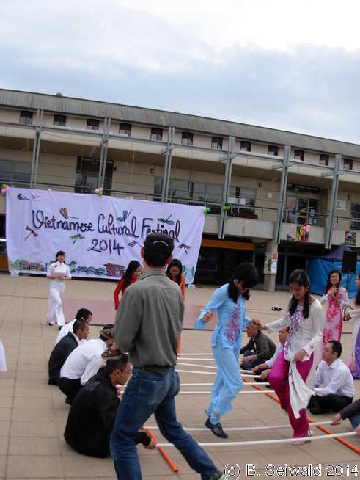 VietnameseFestival20141010 171921