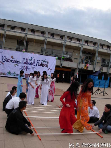 VietnameseFestival20141010 171931