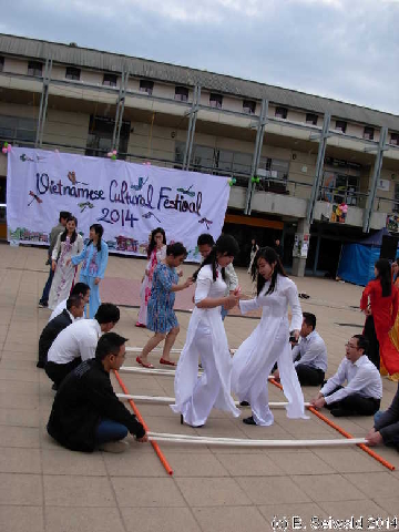 VietnameseFestival20141010 171938