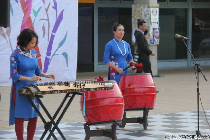 VietnameseFestival20151008 181130