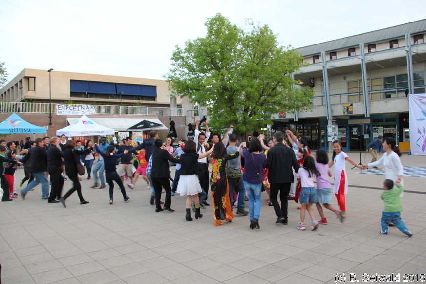 VietnameseFestival20151008 185452