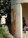 WaitingForTheBus20131005-145236