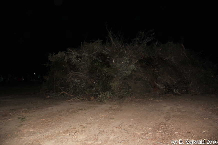 WamboinBonfire20140920 183149