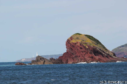 WhaleWatching20150905 102305