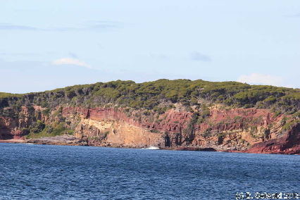 WhaleWatching20150905 103239