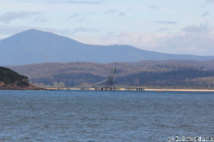 WhaleWatching20150905 105349