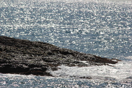 WhaleWatching20150905 112127