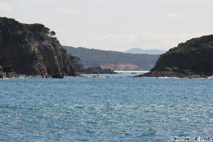 WhaleWatching20150905 114758