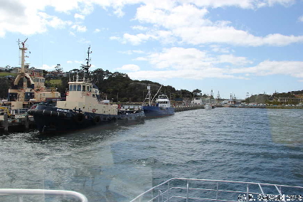 WhaleWatching20150905 122117