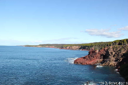 WhaleWatching20150905 145955