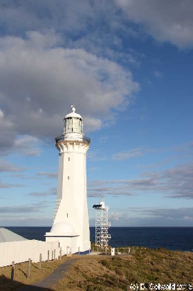 WhaleWatching20150905 161830