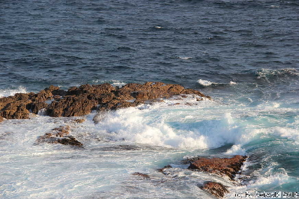 WhaleWatching20150905 163937