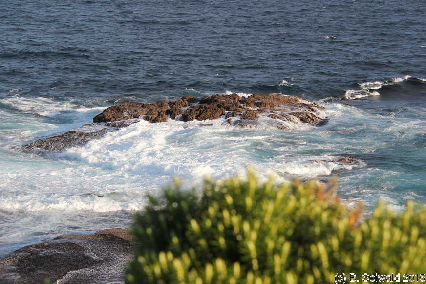 WhaleWatching20150905 164452