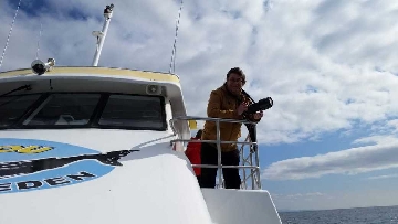 WhaleWatching20150906 212205
