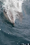 WhaleWatching20150905-100007
