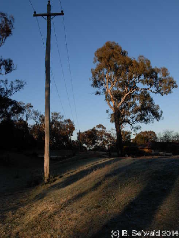 WinterMorning20140804 074202