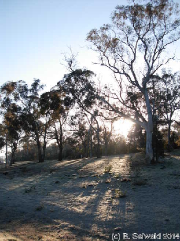 WinterMorning20140804 075015