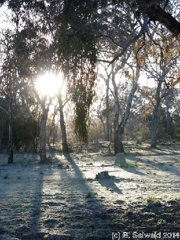 WinterMorning20140804 075205