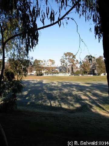 WinterMorning20140804 084559