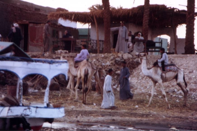 Egypt022004 3 19
