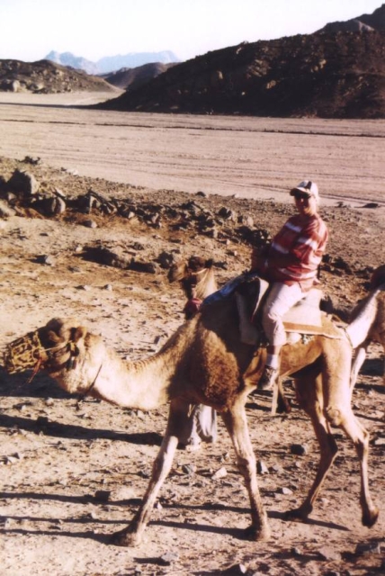 Egypt022004 4 21